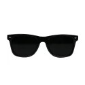 Black Men Wayfarer Sunglasses